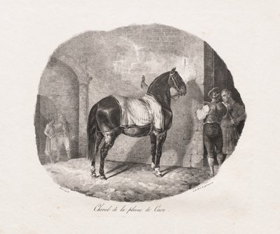 Litograferte studier av hester: Pl. 7, Hest fra Caen-sletten, 1822. av Theodore Gericault
