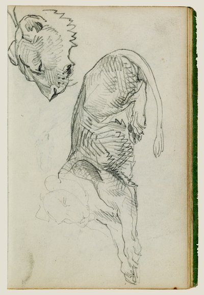Sittende løve, hode av løvinne av Theodore Gericault