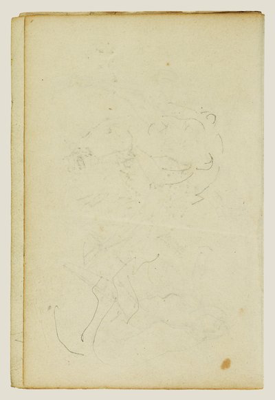 Skisser av hodet og bakbena til en løve av Theodore Gericault