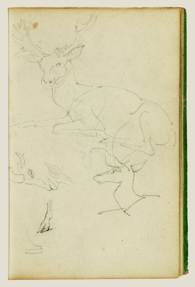 Studier av en sittende hjort, et hjortekalv og et geitehode av Theodore Gericault