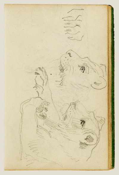 Studier av hodet og forbenene til en løvinne av Theodore Gericault