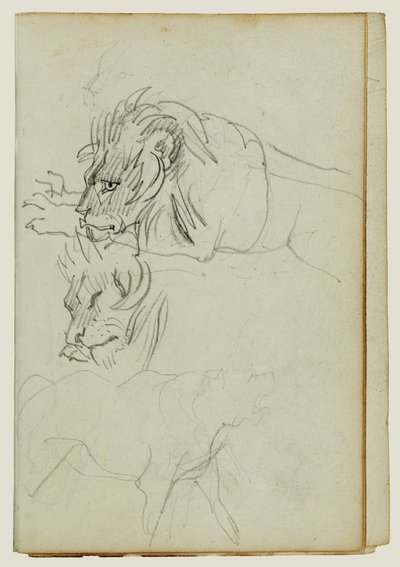 Tre løvestudier av Theodore Gericault