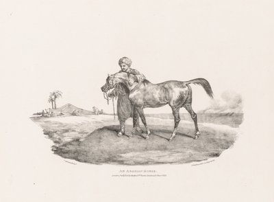 Ulike motiver tegnet etter naturen og på stein:  En arabisk hest av Theodore Gericault