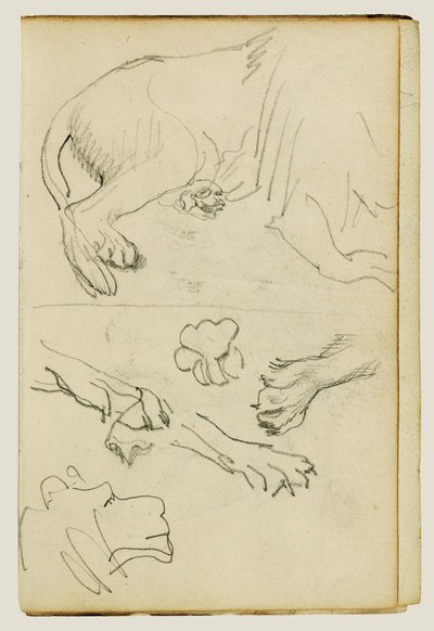 Ulike studier av løvens bein, poter og hode av Theodore Gericault