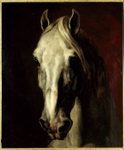 Hvitt hestehode. Maleri av Theodore Gericault (1791-1824) av Theodore Gericault