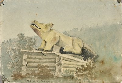 Indisk grav. Ulvetotem over medisinmannens grav, Wrangell av Theodore J. Richardson