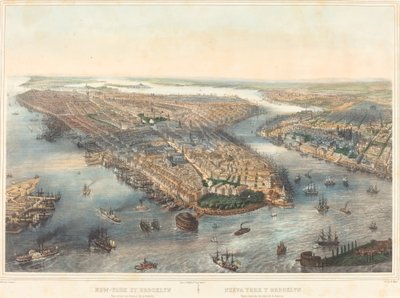 New York og Brooklyn - Utsikt over batteriet av Theodore Muller after William Simpson