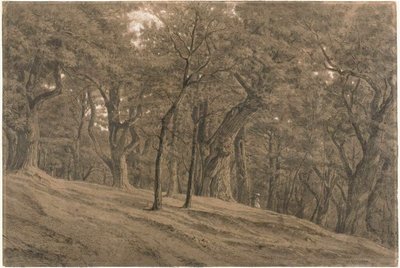  av Theodore Rousseau