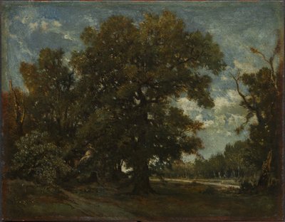 Eiketreet av Theodore Rousseau