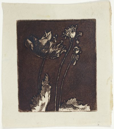 Siste valmuer av Theodore Roussel