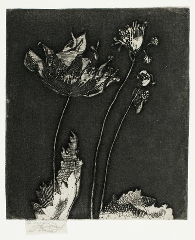 Siste valmuer av Theodore Roussel