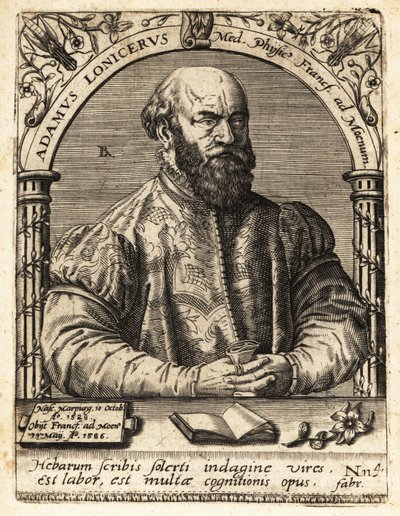 Adam Lonicer eller Lonitzer av Theodore de Bry