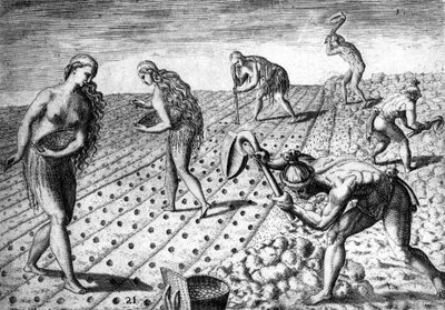 Landbruk blant de innfødte i Sør-Amerika - i ""Admirante Narratio Americae"", av Théodore de Bry av Theodore de Bry