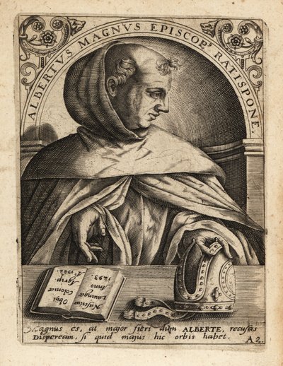 Albertus Magnus av Theodore de Bry
