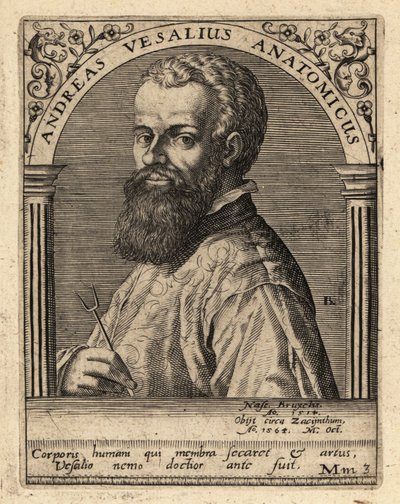 Andreas Vesalius, flamsk lege, anatom av Theodore de Bry