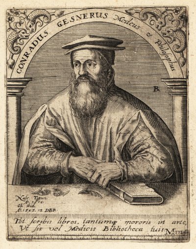 Conrad Gessner, sveitsisk lege av Theodore de Bry