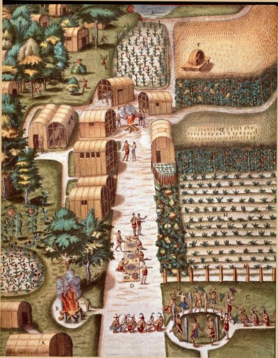 Gravering fra "" Admirante Narratio Americae"" av Theodore de Bry (1528-1598) av Theodore de Bry