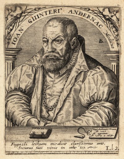 Johann Winter von Andernach, tysk lege av Theodore de Bry