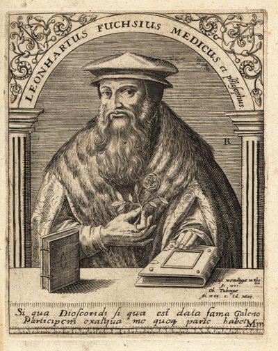 Leonhart Fuchs , tysk lege og botaniker 1501-1566. av Theodore de Bry
