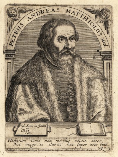 Pietro Andrea Gregorio Mattioli, italiensk lege av Theodore de Bry