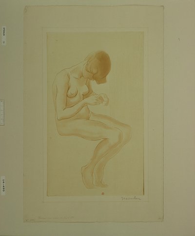  av Théophile Alexandre Steinlen