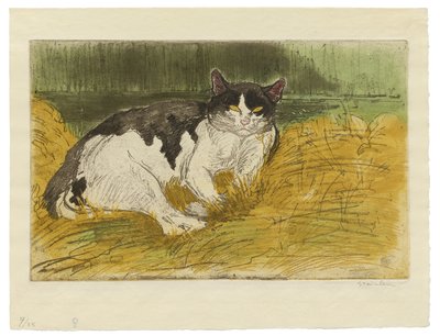 Gammel svart og hvit katt i gresset av Théophile Alexandre Steinlen