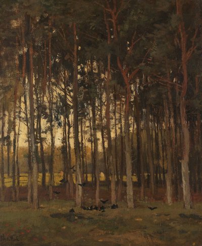 Utsikt i skogen av Theophile de Bock