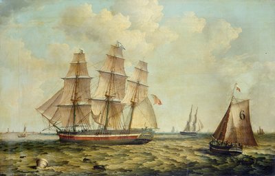  av Thomas A. Binks