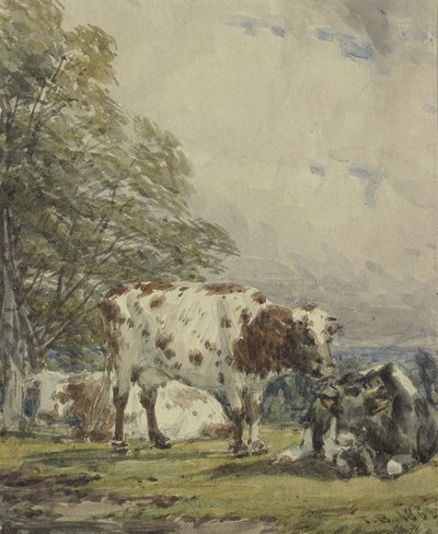 En studie av storfe, 1800-tallet av Thomas Baker
