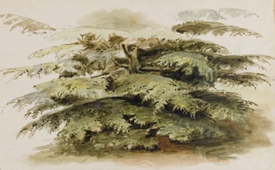  av Thomas Baxter