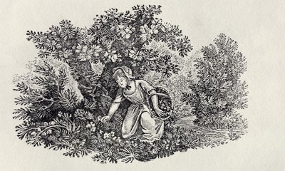 En jente som samler blomster fra "History of British Birds and Quadrupeds" av Thomas Bewick