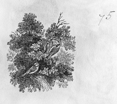 Blåmeis (Parus caeruleus) og tallmeis (Parus major) fra 'History of British Birds' bind I, pub. 1797 (tregravering) av Thomas Bewick