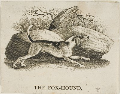 revehund av Thomas Bewick