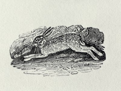 Haren fra "History of British Birds and Quadrupeds" av Thomas Bewick