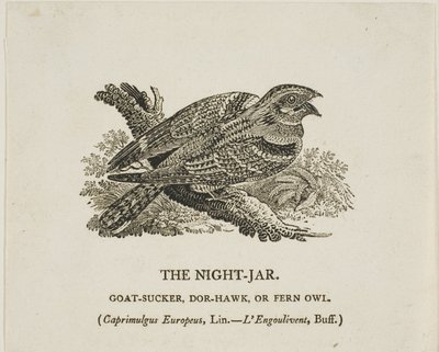  av Thomas Bewick