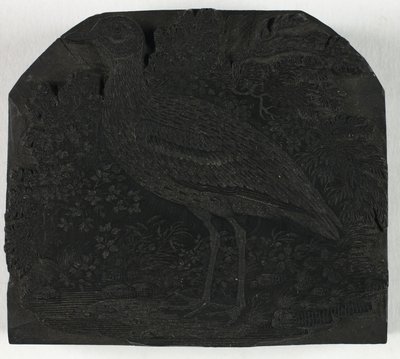 Woodblock pentru The Great Plover, din A History of British Birdsnorwegian av Thomas Bewick