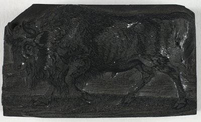Treblokk for Urus eller Wild Bull, fra A General History of Quadrupeds av Thomas Bewick