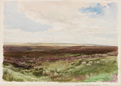 Moorland nær Hart Leap Well, Yorkshire (akvarell på papir) av Thomas Collier