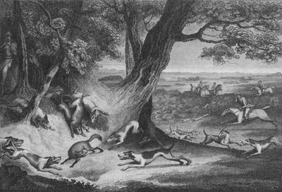 Revens død, 1793. av Thomas Cook