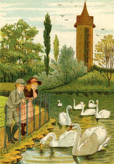 Paris Zoo - barn ser på svaner av Thomas Crane
