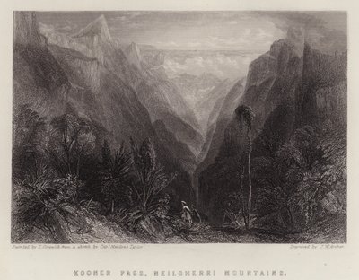 Kooner Pass, Neilgherri Mountains (farge litho) av Thomas Creswick