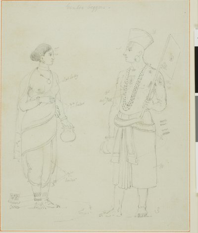 Gintoo tiggere av Thomas Daniell