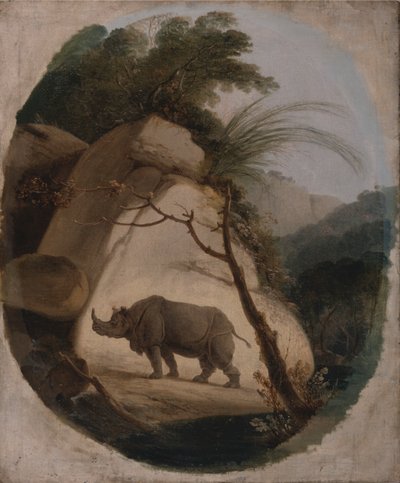 Det indiske neshornet av Thomas Daniell