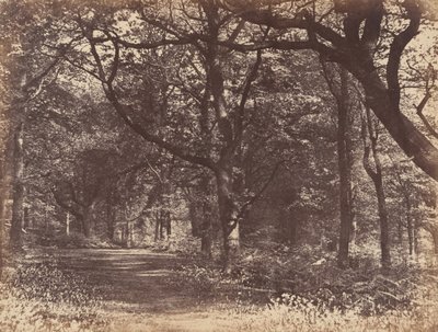 Trescene, Norton, Cheshire, 1856. av Thomas Davies