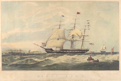  av Thomas Dove
