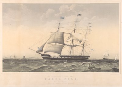  av Thomas Dove