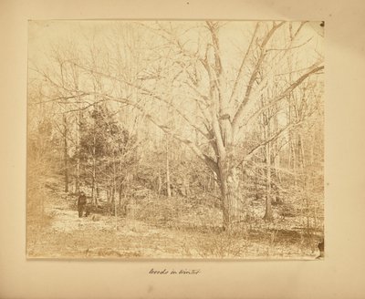  av Thomas E. Jevons