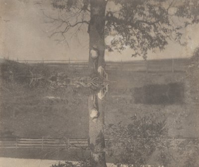  av Thomas Eakins
