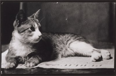 Fru Thomas Eakins