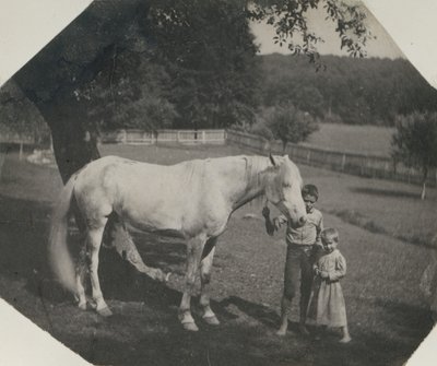 Thomas Eakins sin hest Billy og to Crowell-barn i Avondale, Pennsylvania, ca. 1892. av Thomas Eakins